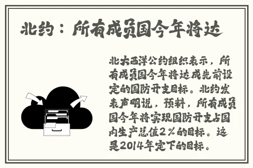 40岁阿姨荒野大镖客一电影内容